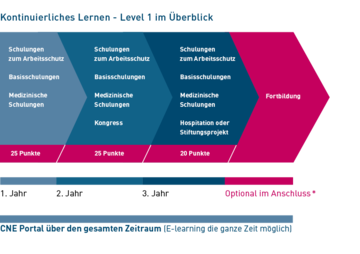 Grafik: Kontinuierliches Lernen